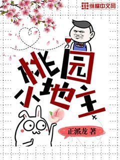 桃园小地主小说txt免费