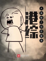 港宗枭雄之我是雷洛