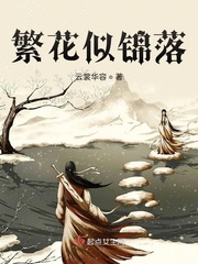 繁花似锦长篇小说