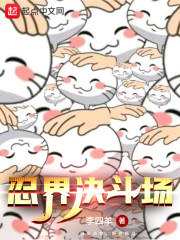忍界决斗场小说txt免费观看