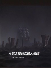 斗罗之我的武魂大海螺小说免费阅读无弹窗