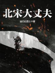 北宋大丈夫小说免费观看