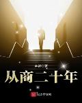 从商二十年怎么样