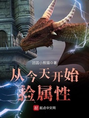 团圆小熊猫小说作者简介