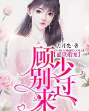 盛世宠婚:顾少请低调