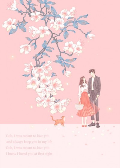隐龙狂婿