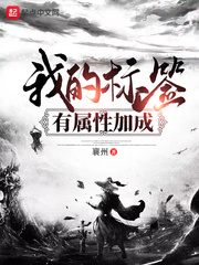 属性标签是什么