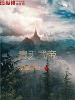 青天武帝小说免费阅读全文