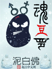 豆回清楚小说免费阅读