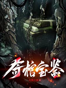 奇棺宝鉴免费阅读小说