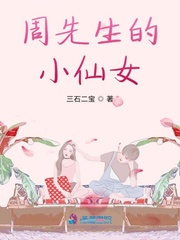 作者周先生小说