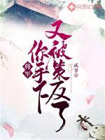 你手下又被策反了! 小说