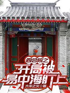 四合院我是傻住