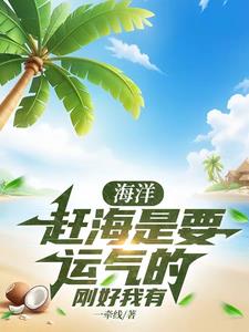 赶海事情