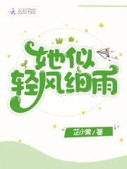 他似清风入我怀小说