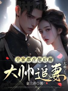 大帅追妻太难了别名