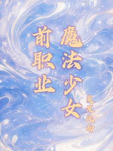 魔法少女这高危职业小说