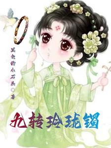 玲珑盗门九当家小说