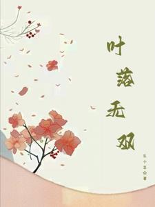 叶落无痕小说番外
