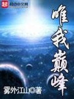 唯我巅峰雾外江山TXT下载
