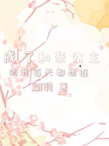 穿越成和亲公主嫁给七王爷的小说
