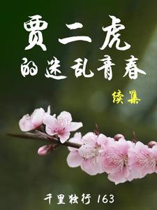 贾二虎的迷乱青春续集小说免费阅读下载