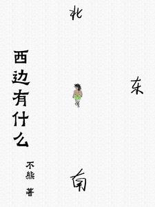 西边雨的小说