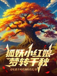 妖狐之狐灭万界 小说