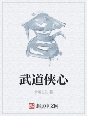 武道江湖 小说