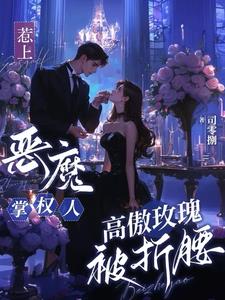 惹上恶魔总裁小说