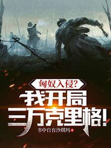 匈奴可汗小说