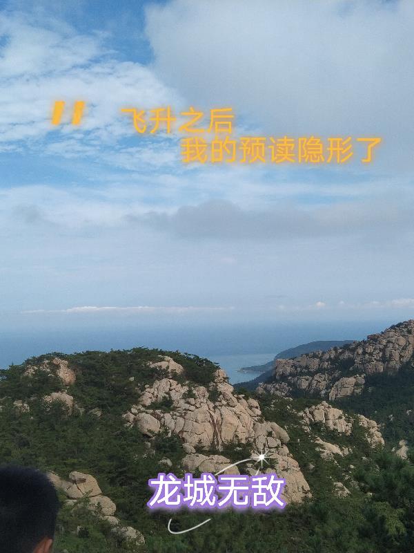 飞升之后无弹窗
