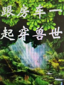 类似于房车的车