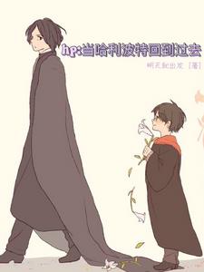 hp回到过去txt