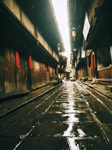 掠夺与守护小说免费阅读全文