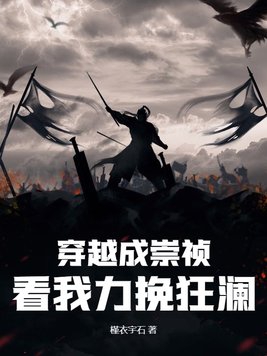 穿越成崇祯是什么小说