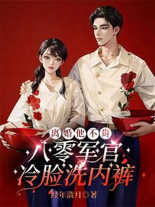 军人不能离婚小说