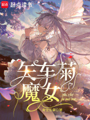 矢车菊属