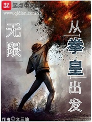 主角用拳皇招式的无限小说