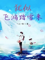 应似飞鸿踏雪泥