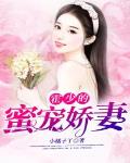 霍少的娇妻短剧